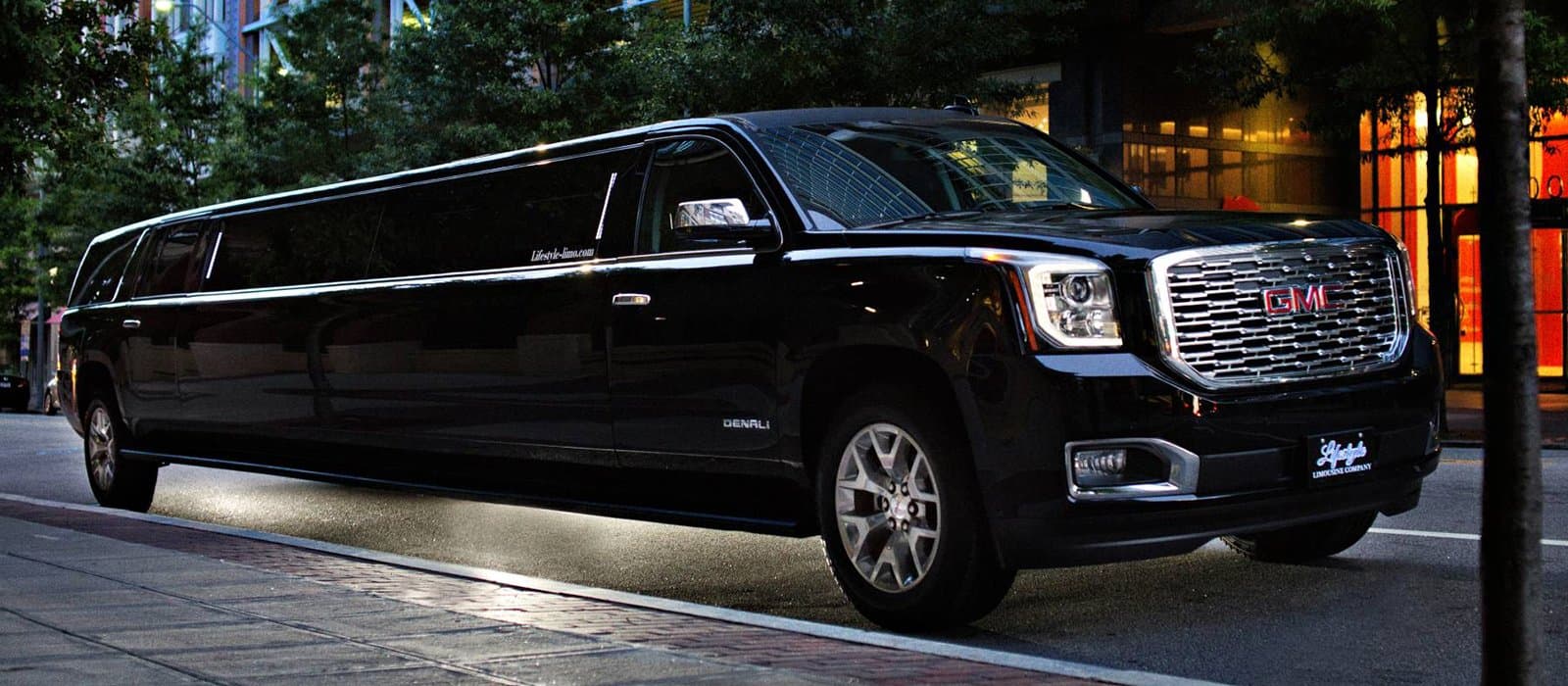Professional Chauffeur and Luxury Fleet